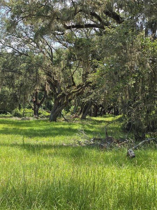 На продажу: $69,500 (5.01 acres)