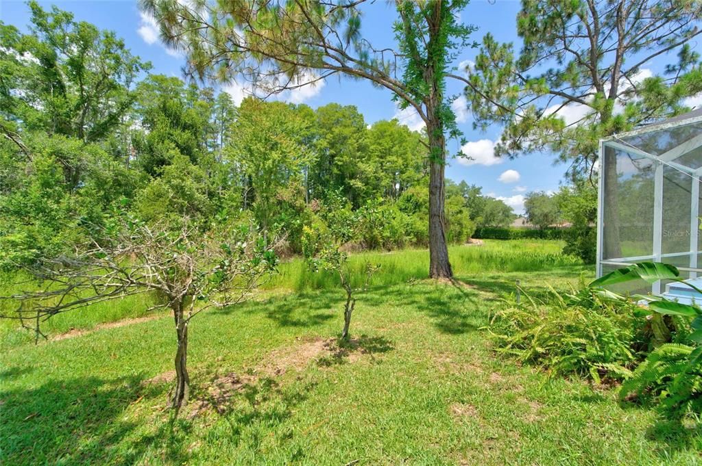 En Venta: $549,000 (4 camas, 3 baños, 2556 Pies cuadrados)