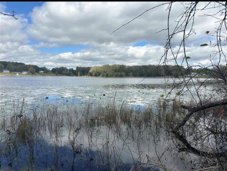 For Sale: $688,000 (11.60 acres)