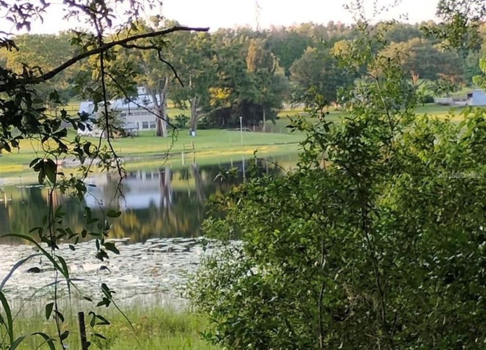 For Sale: $688,000 (11.60 acres)