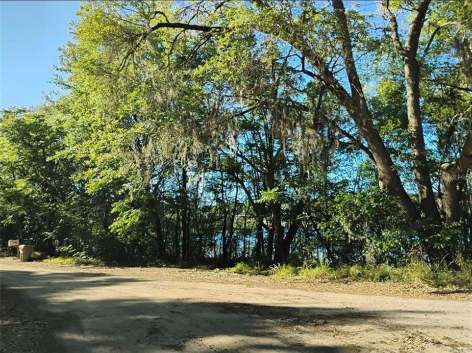 For Sale: $688,000 (11.60 acres)