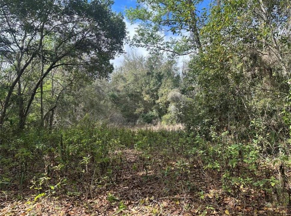 For Sale: $688,000 (11.60 acres)