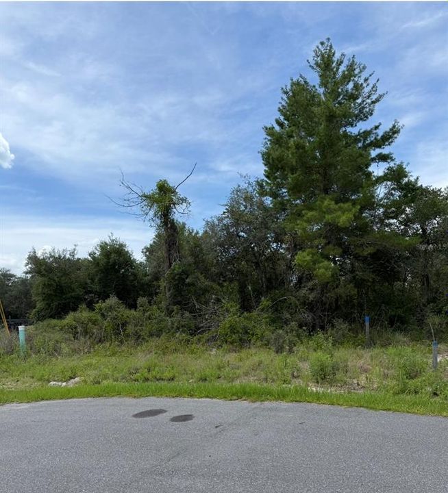 На продажу: $54,900 (0.22 acres)
