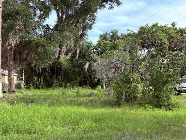 For Sale: $17,900 (0.15 acres)