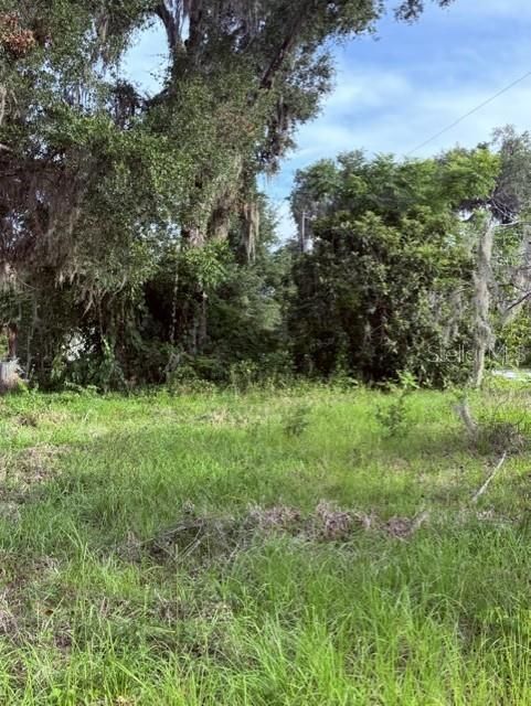 For Sale: $17,900 (0.15 acres)