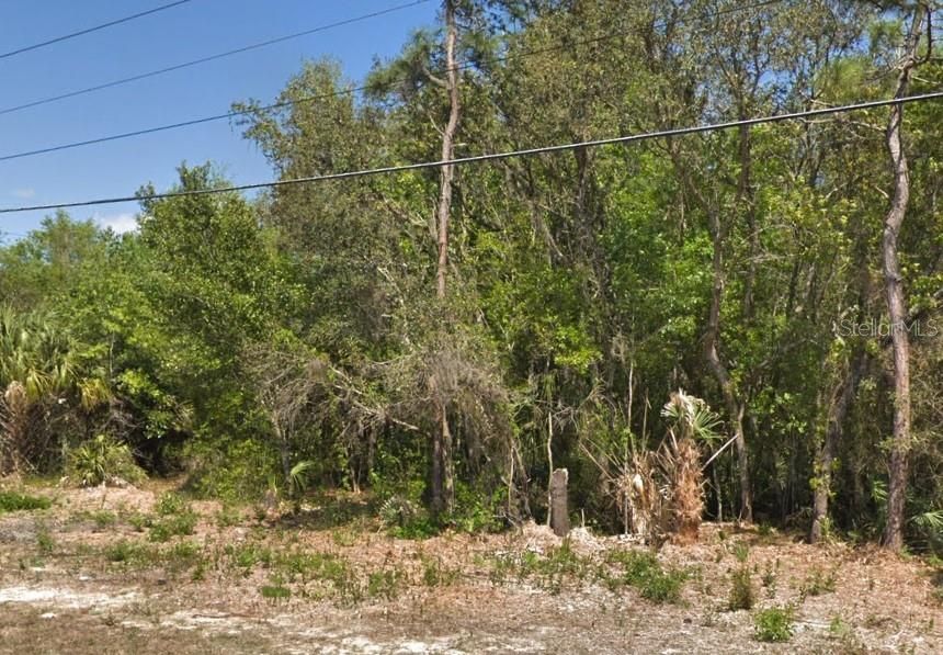 For Sale: $10,500 (0.25 acres)