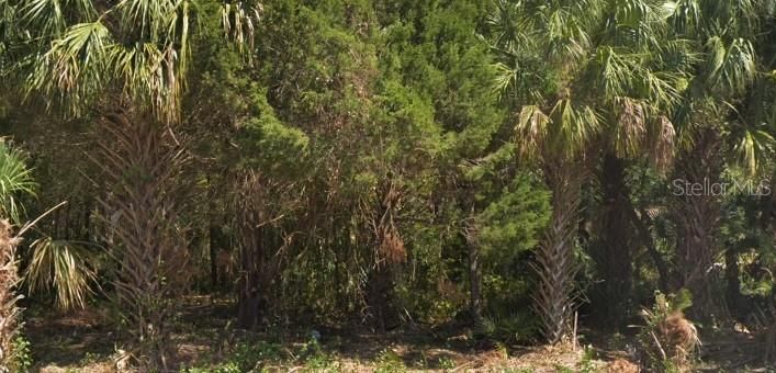 For Sale: $10,500 (0.25 acres)