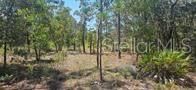 For Sale: $19,900 (0.30 acres)