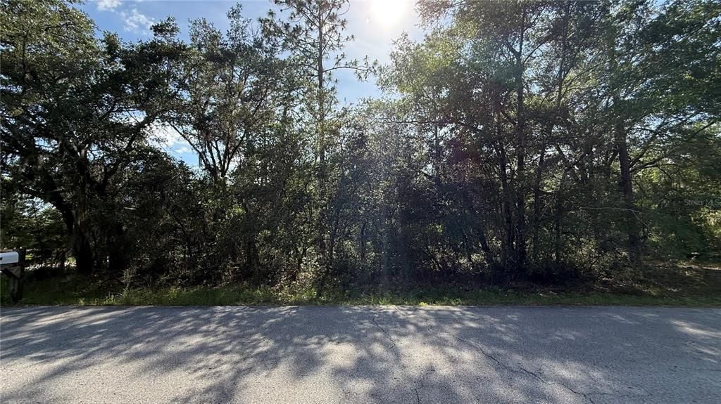 For Sale: $45,000 (1.00 acres)