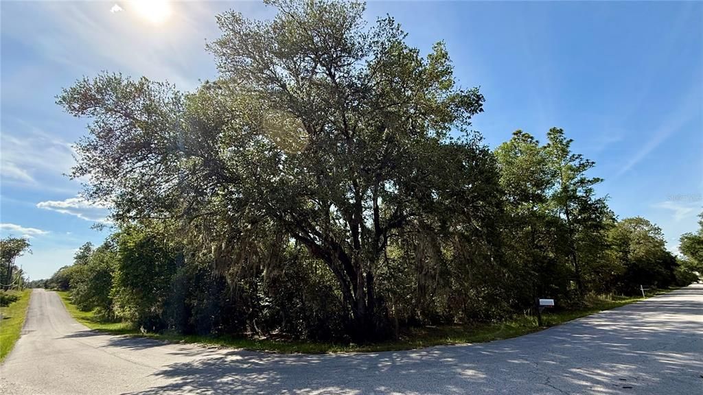 For Sale: $45,000 (1.00 acres)