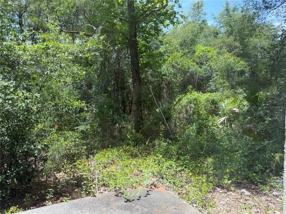 For Sale: $199,900 (2 beds, 2 baths, 1516 Square Feet)