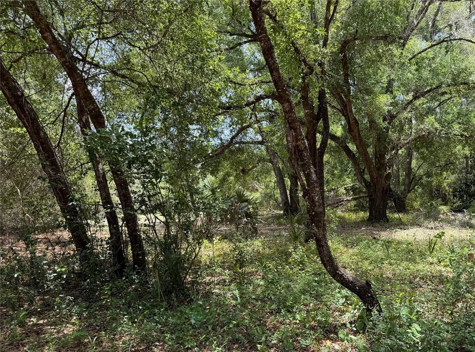 For Sale: $199,900 (2 beds, 2 baths, 1516 Square Feet)