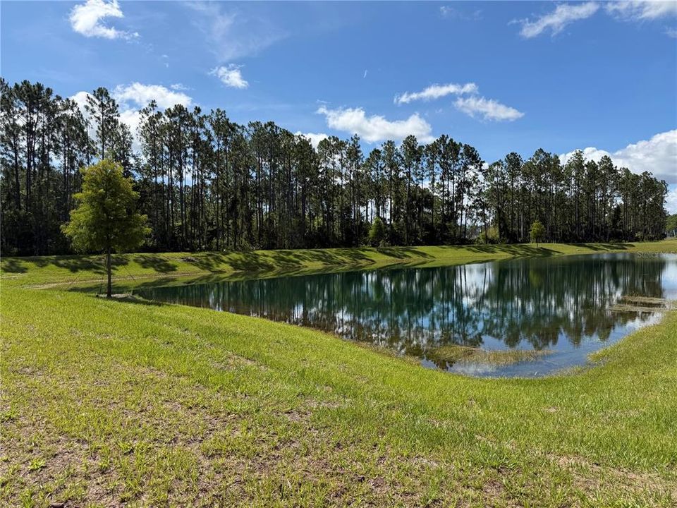 For Rent: $1,950 (3 beds, 2 baths, 1808 Square Feet)