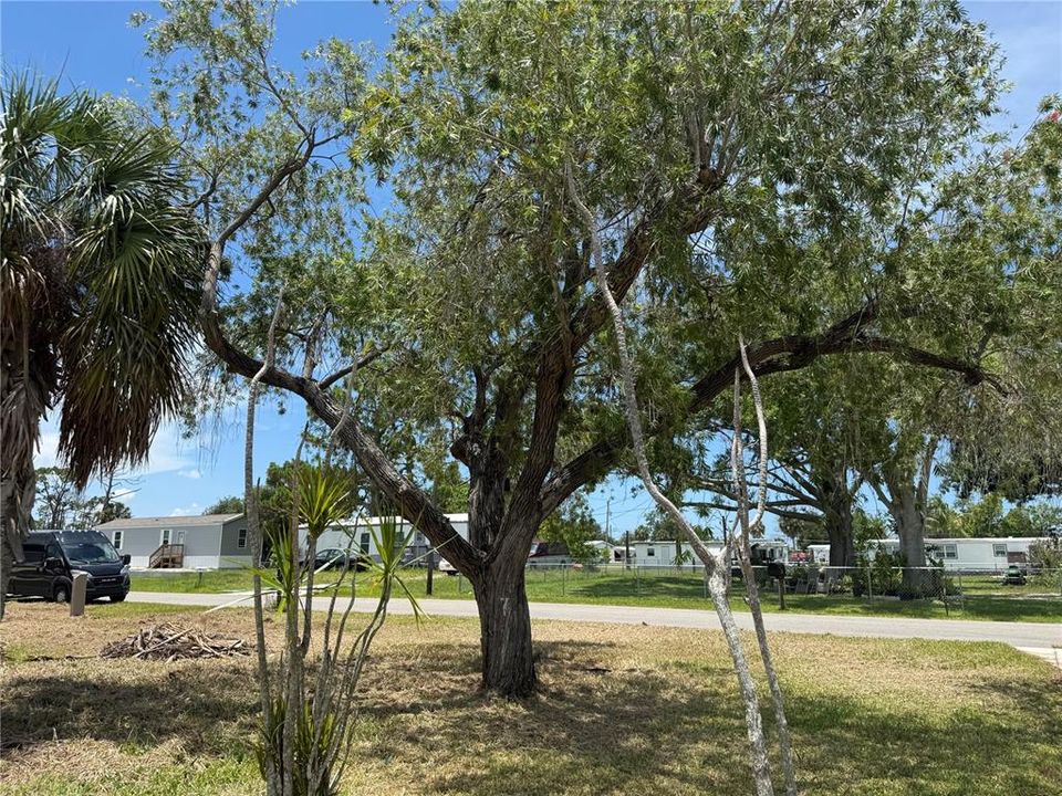 For Sale: $52,500 (0.34 acres)