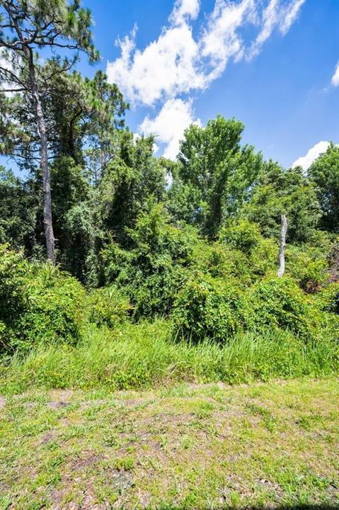 For Sale: $264,900 (3 beds, 2 baths, 1686 Square Feet)