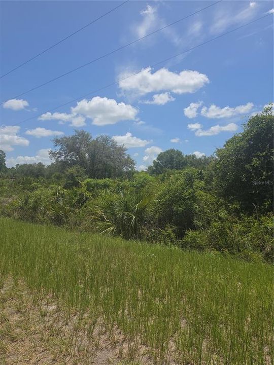 На продажу: $44,900 (1.25 acres)