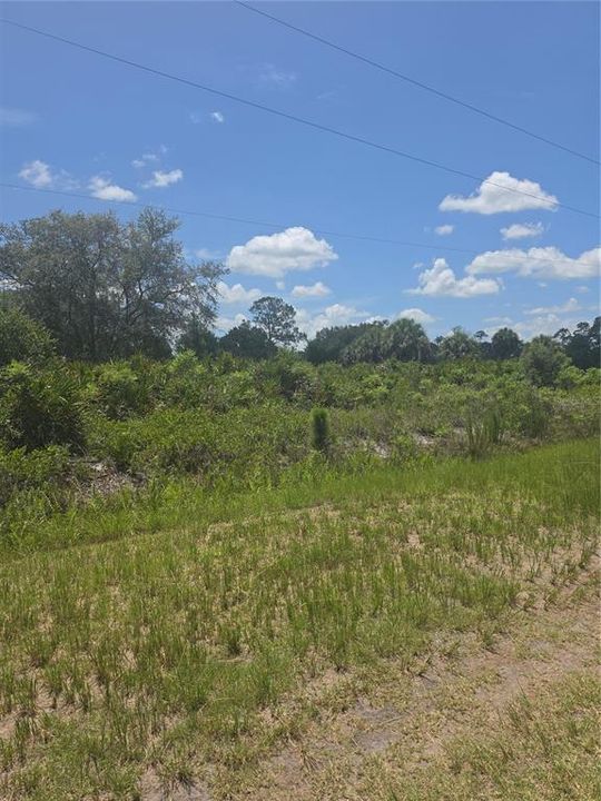 На продажу: $44,900 (1.25 acres)