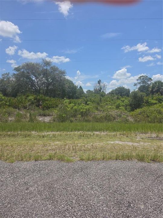 На продажу: $44,900 (1.25 acres)
