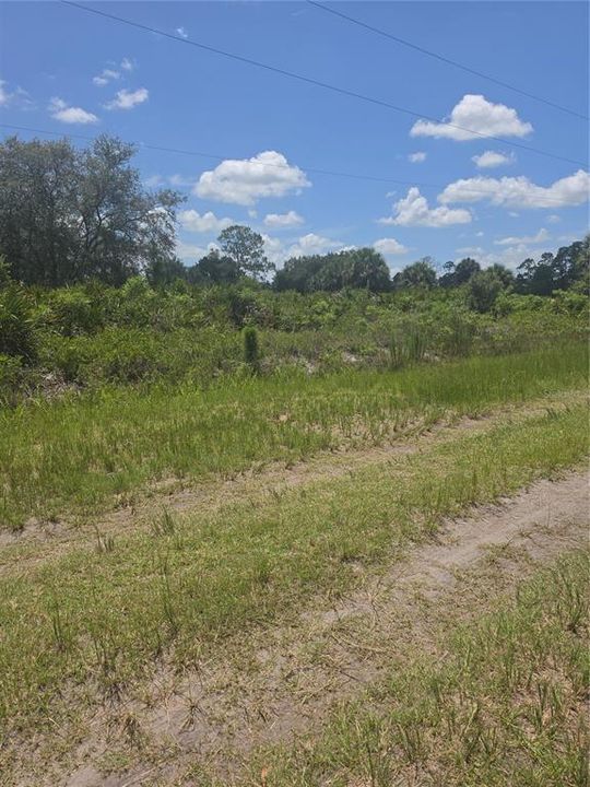 На продажу: $44,900 (1.25 acres)
