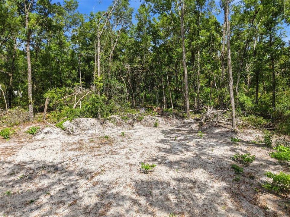 For Sale: $77,000 (4.00 acres)
