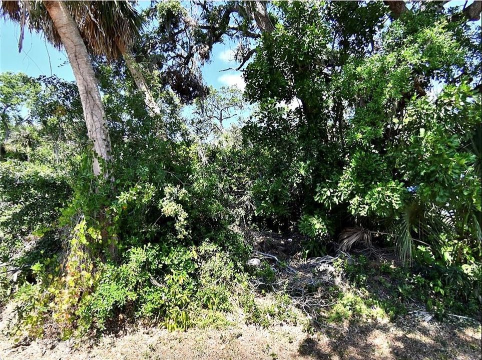 En Venta: $65,000 (0.18 acres)