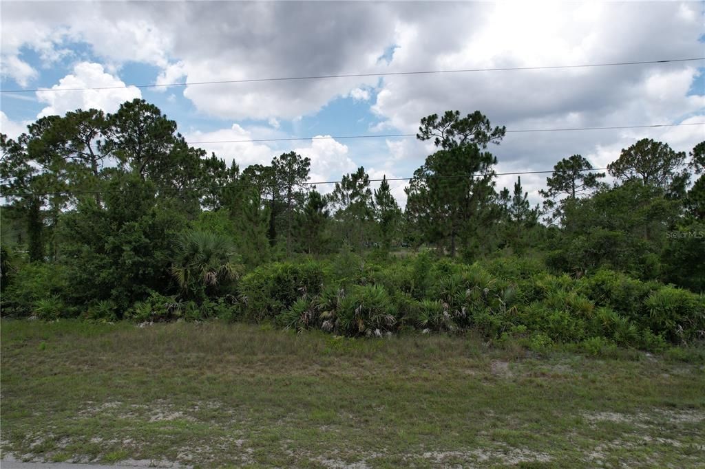 For Sale: $49,000 (0.29 acres)