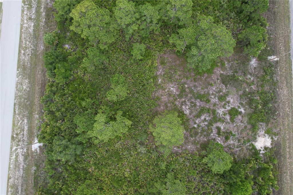 For Sale: $49,000 (0.29 acres)