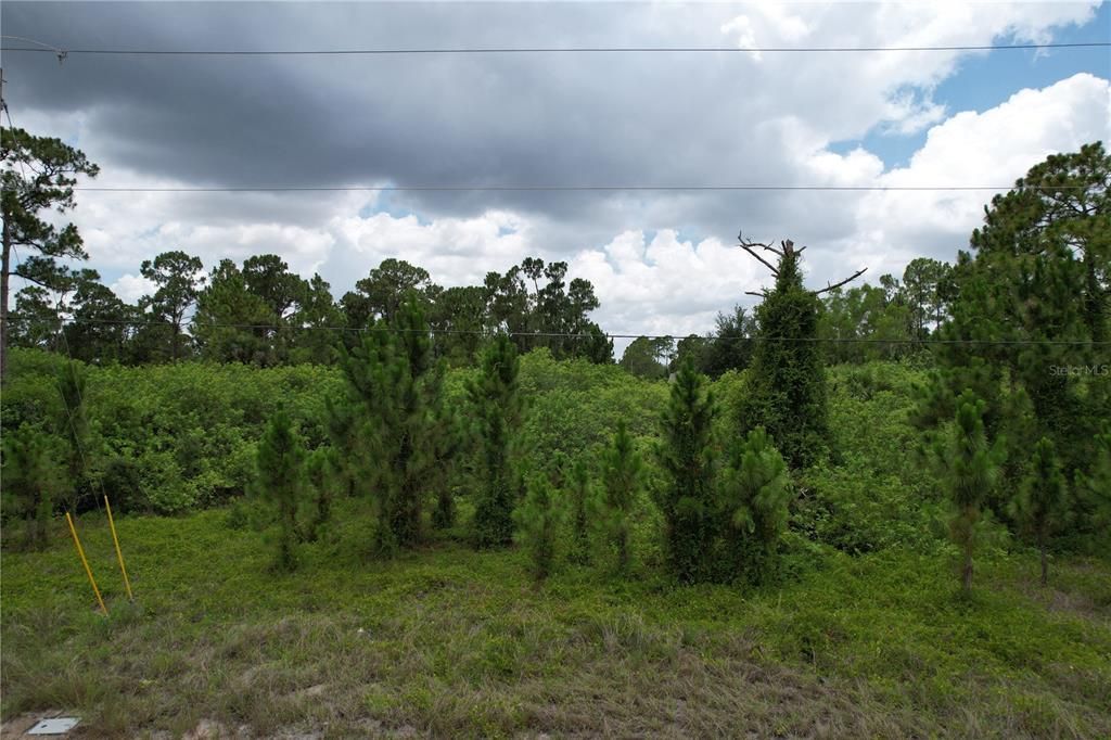 For Sale: $19,000 (0.23 acres)