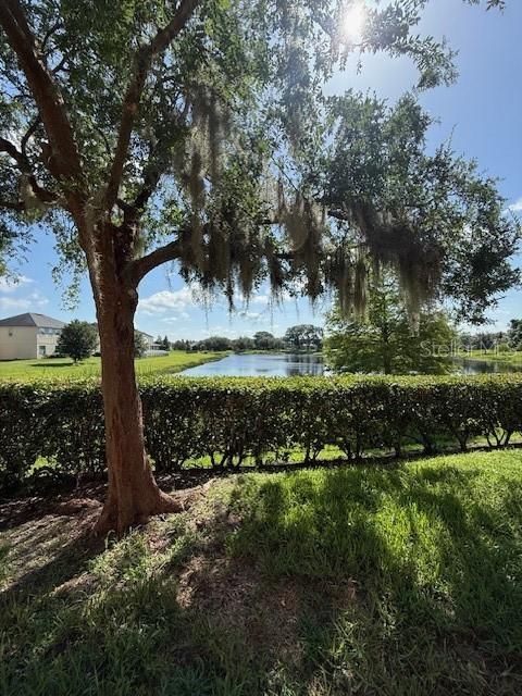 For Rent: $1,600 (1 beds, 1 baths, 734 Square Feet)