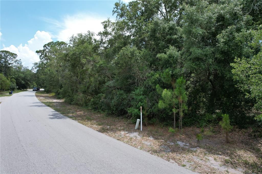 For Sale: $21,000 (0.24 acres)