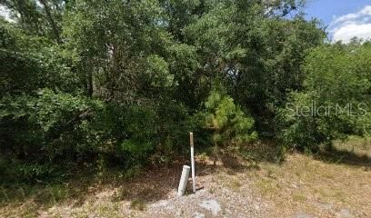 For Sale: $21,000 (0.24 acres)
