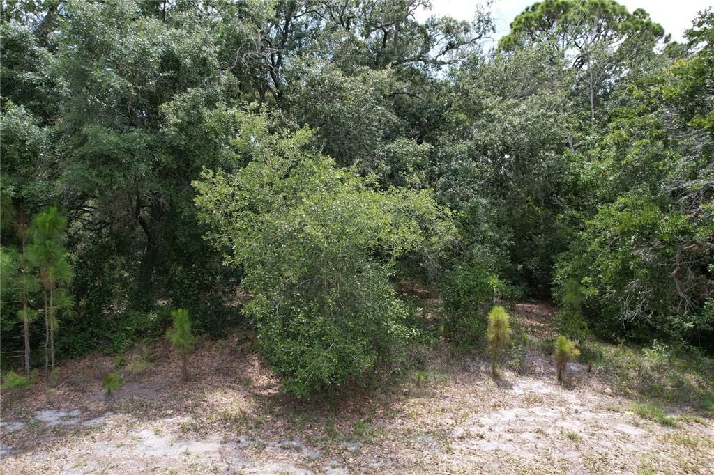 For Sale: $21,000 (0.24 acres)