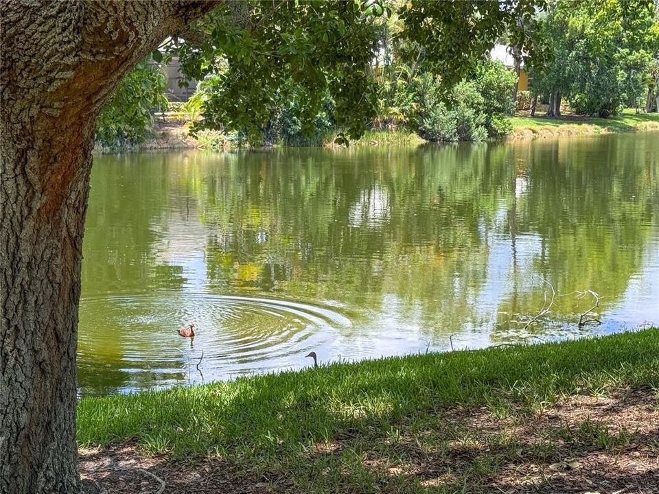 En Venta: $274,900 (2 camas, 2 baños, 1514 Pies cuadrados)