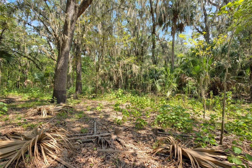 En Venta: $74,400 (14.70 acres)