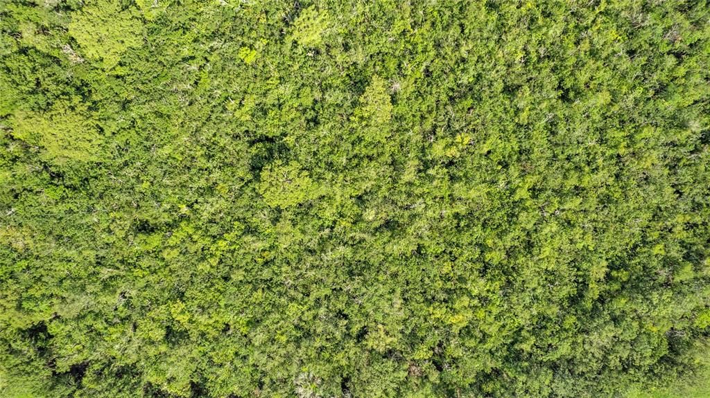 En Venta: $74,400 (14.70 acres)