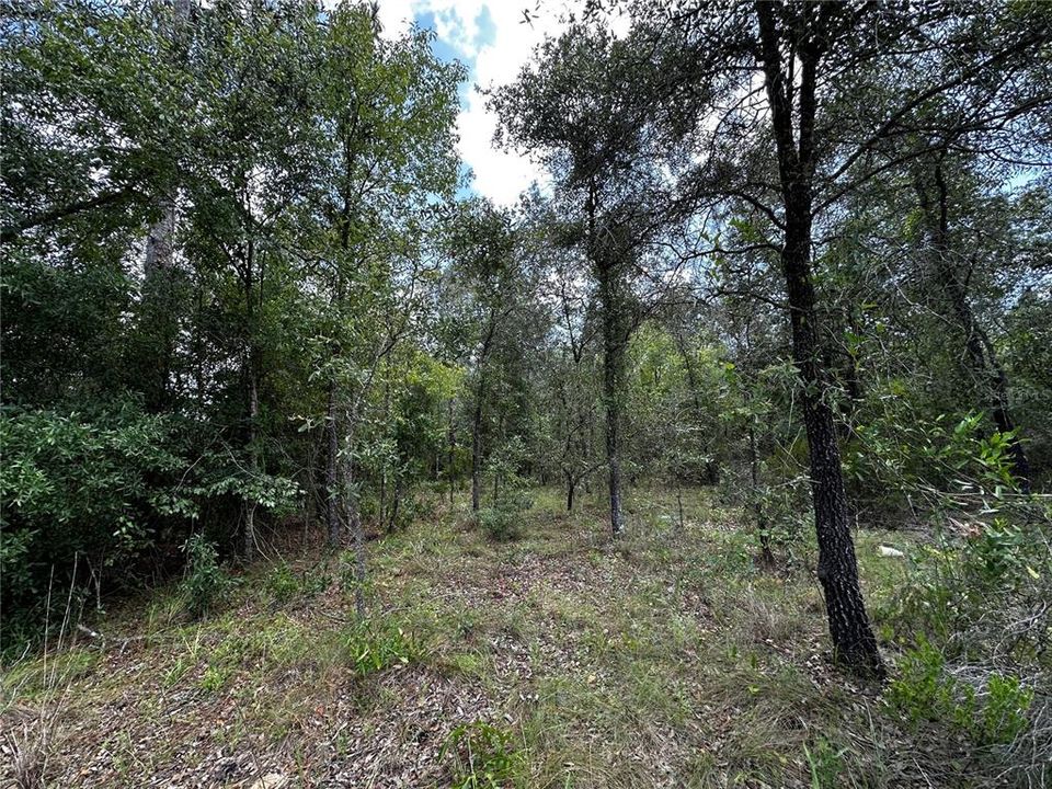 En Venta: $24,000 (1.00 acres)