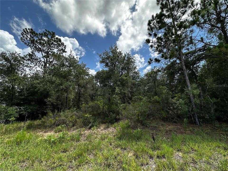 En Venta: $24,000 (1.00 acres)