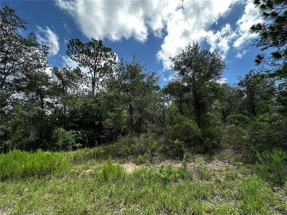 En Venta: $24,000 (1.00 acres)