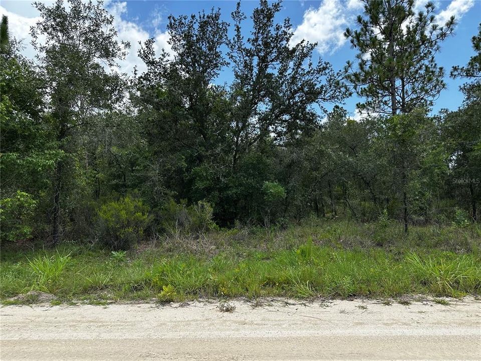 En Venta: $24,000 (1.00 acres)