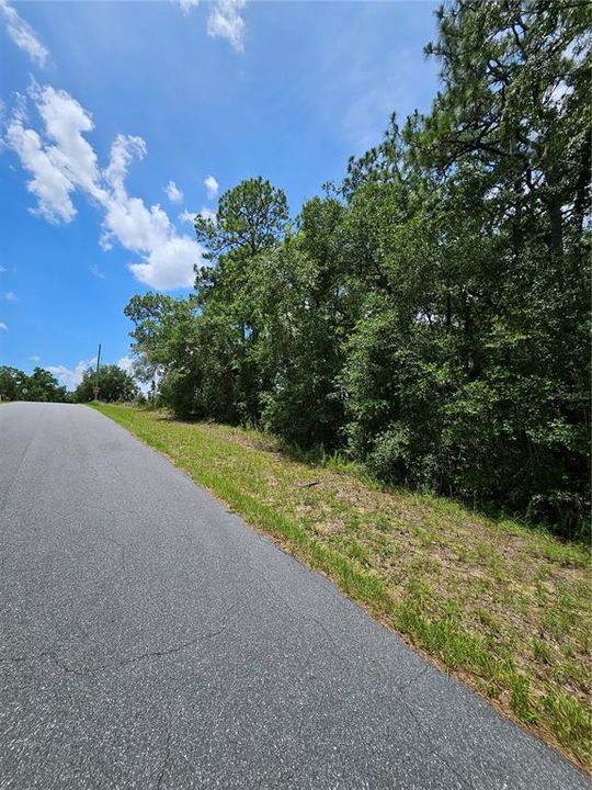 На продажу: $65,000 (1.00 acres)
