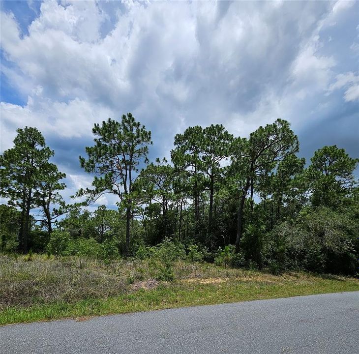 На продажу: $65,000 (1.00 acres)