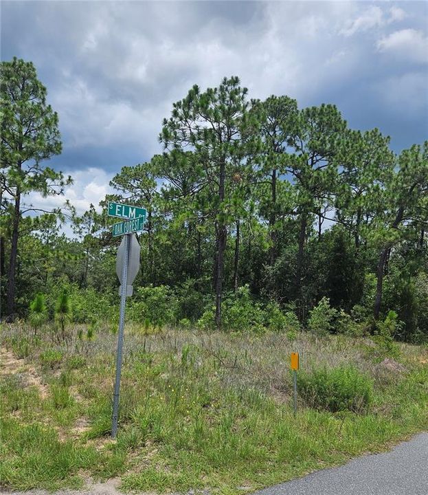 На продажу: $65,000 (1.00 acres)