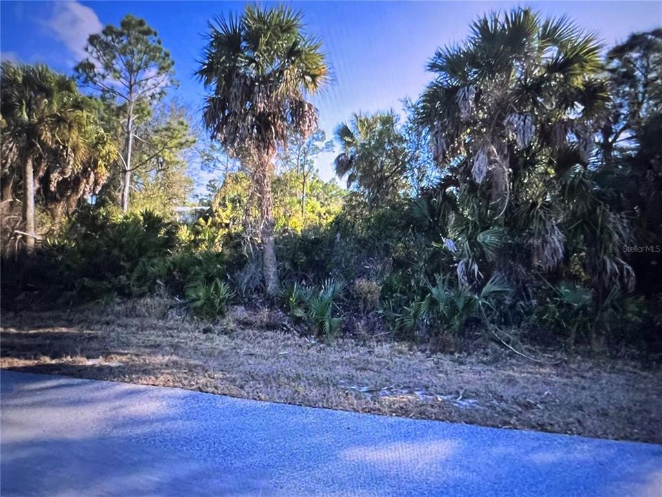 待售: $19,500 (0.18 acres)