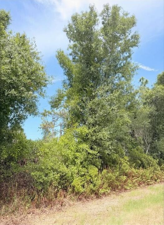 Active With Contract: $25,000 (0.24 acres)