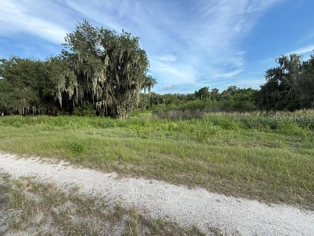 For Sale: $107,000 (12.83 acres)