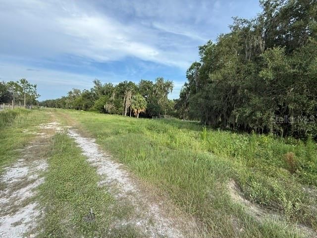 For Sale: $107,000 (12.83 acres)