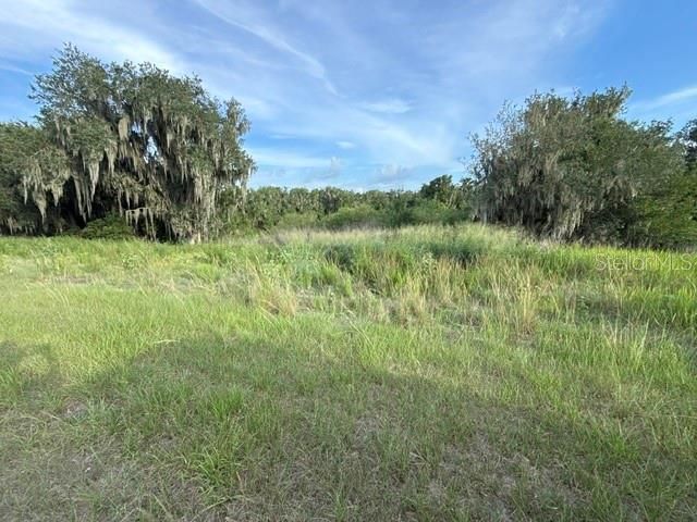 For Sale: $107,000 (12.83 acres)