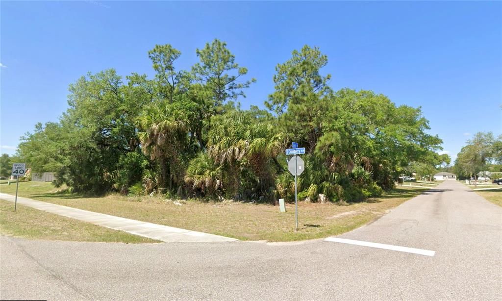 For Sale: $25,000 (0.30 acres)