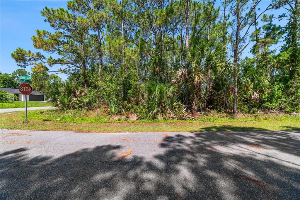 待售: $50,000 (0.26 acres)