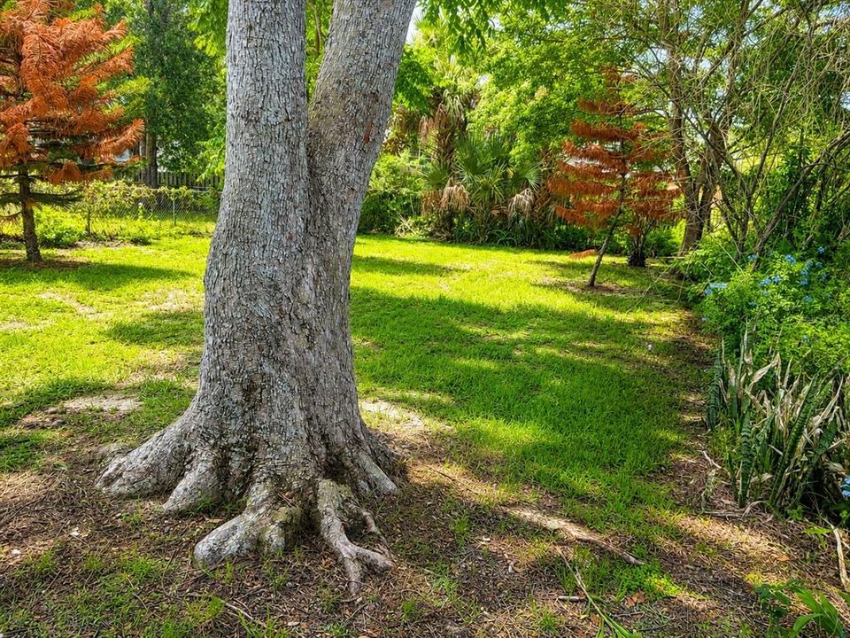 Activo con contrato: $325,000 (3 camas, 2 baños, 1264 Pies cuadrados)